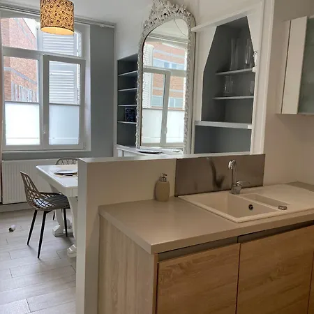 Lejlighed La Terrasse Sur L'eau, Wifi, Centre *